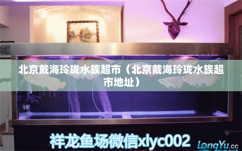 北京戴海玲珑水族超市（北京戴海玲珑水族超市地址） 全国水族馆企业名录