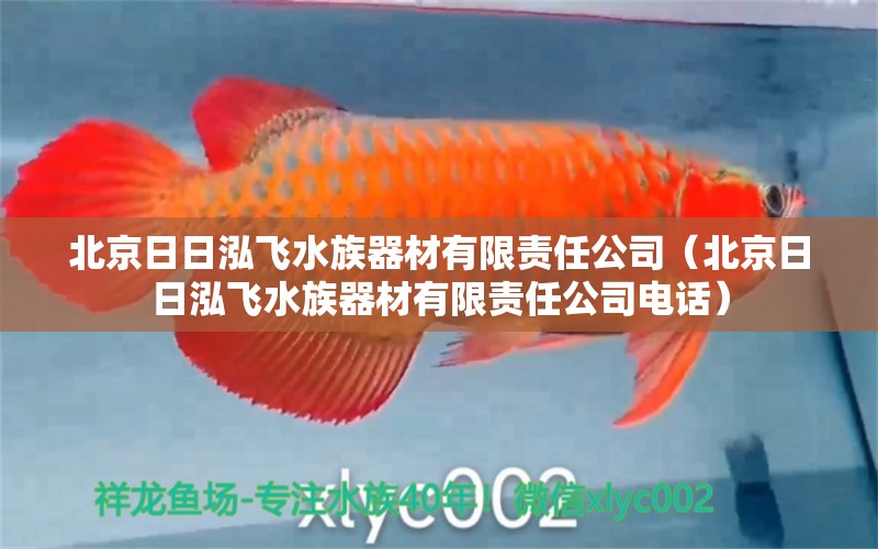 北京日日泓飞水族器材有限责任公司（北京日日泓飞水族器材有限责任公司电话）