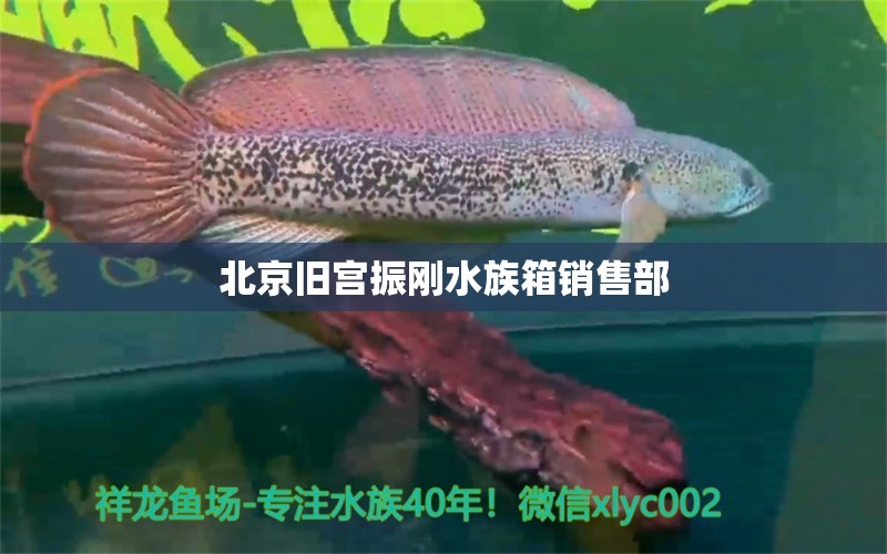 北京旧宫振刚水族箱销售部