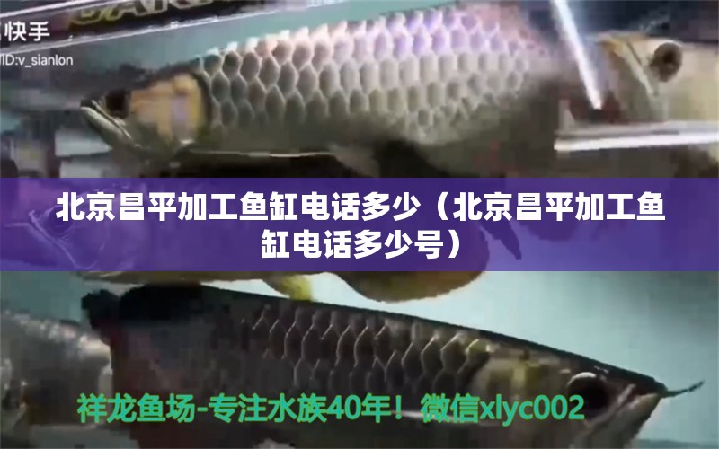 北京昌平加工鱼缸电话多少（北京昌平加工鱼缸电话多少号） 祥龙水族医院