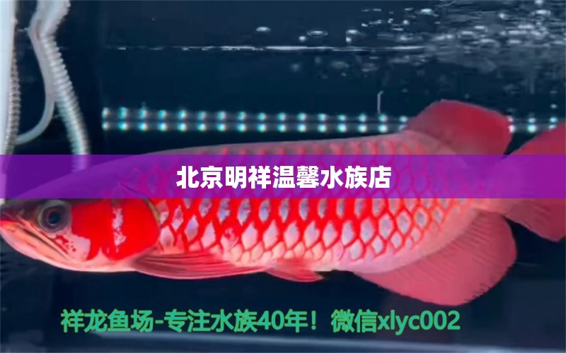 北京明祥温馨水族店