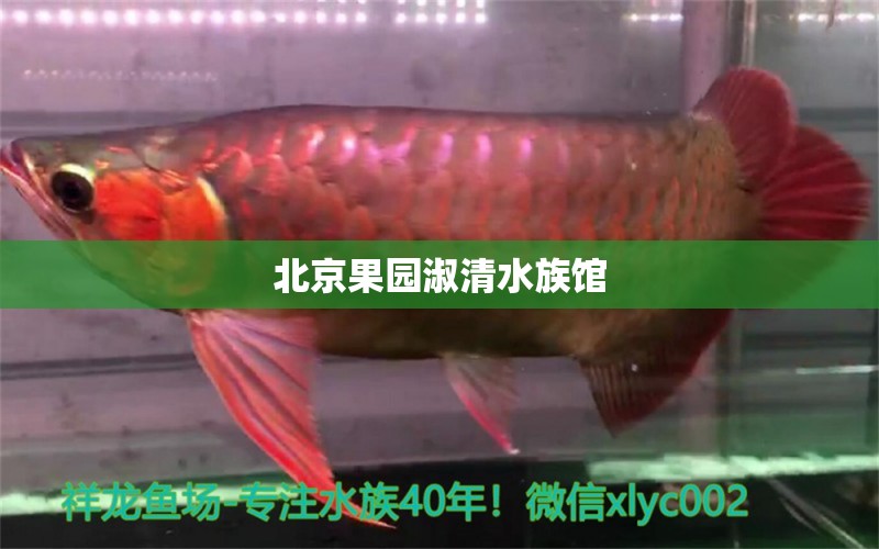 北京果园淑清水族馆