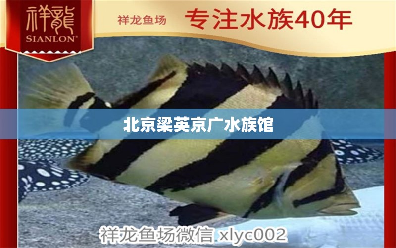 北京梁英京广水族馆