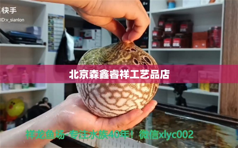 北京森鑫睿祥工艺品店 全国水族馆企业名录