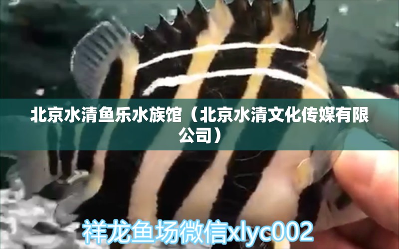 北京水清鱼乐水族馆（北京水清文化传媒有限公司） 全国水族馆企业名录