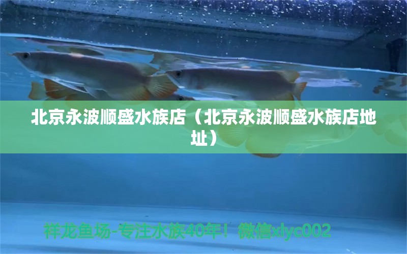 北京永波顺盛水族店（北京永波顺盛水族店地址）