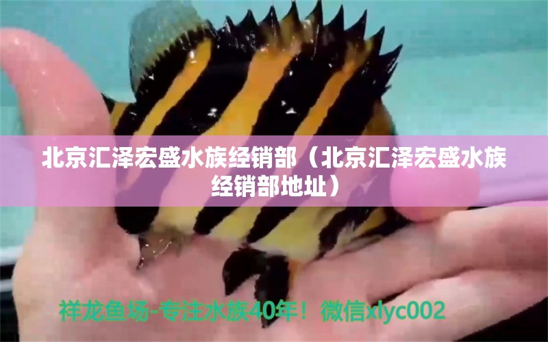 北京汇泽宏盛水族经销部（北京汇泽宏盛水族经销部地址） 全国水族馆企业名录