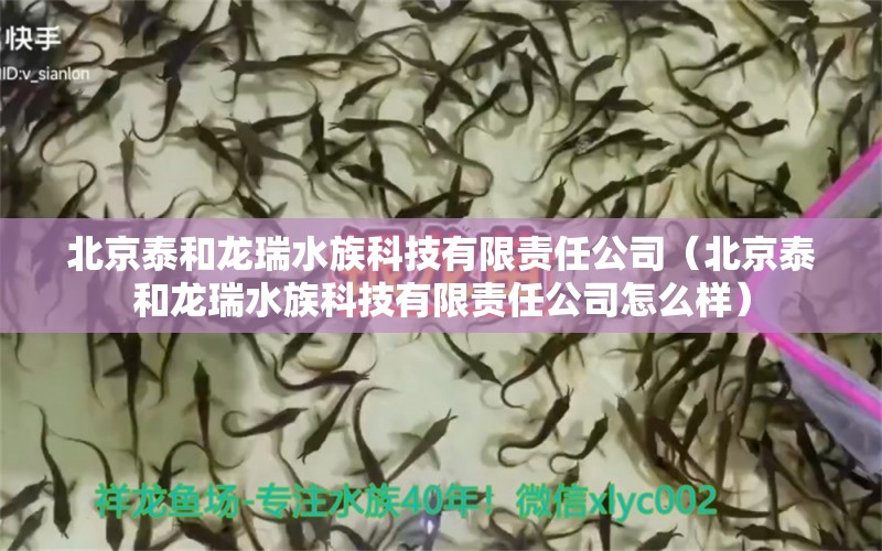 北京泰和龙瑞水族科技有限责任公司（北京泰和龙瑞水族科技有限责任公司怎么样）