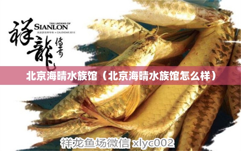 北京海晴水族馆（北京海晴水族馆怎么样） 全国水族馆企业名录