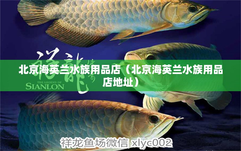 北京海英兰水族用品店（北京海英兰水族用品店地址）