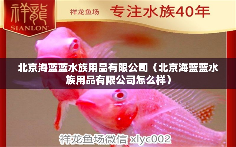 北京海蓝蓝水族用品有限公司（北京海蓝蓝水族用品有限公司怎么样）