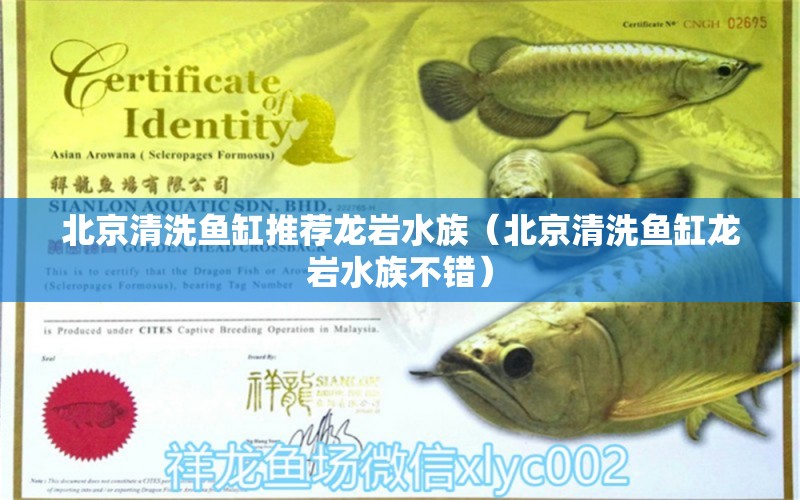 北京清洗鱼缸推荐龙岩水族（北京清洗鱼缸龙岩水族不错）