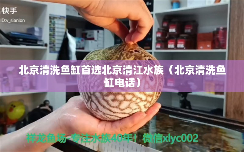 北京清洗鱼缸首选北京清江水族（北京清洗鱼缸电话） 量子养鱼技术