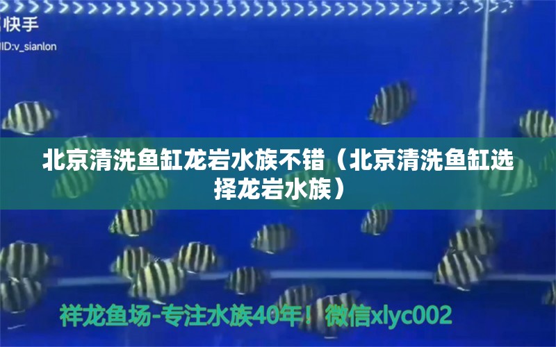 北京清洗鱼缸龙岩水族不错（北京清洗鱼缸选择龙岩水族）