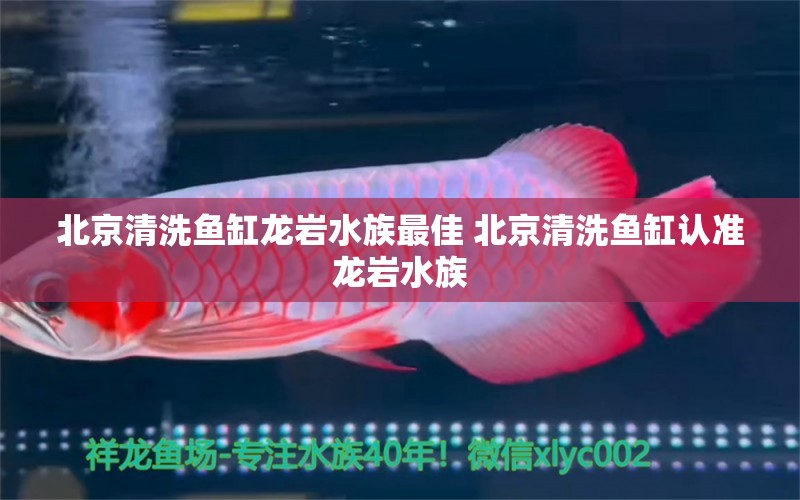 北京清洗鱼缸龙岩水族最佳 北京清洗鱼缸认准龙岩水族