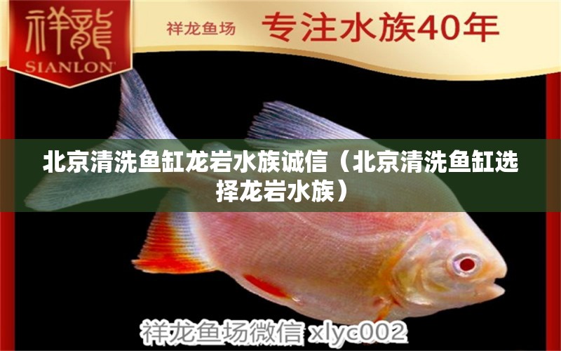 北京清洗鱼缸龙岩水族诚信（北京清洗鱼缸选择龙岩水族）