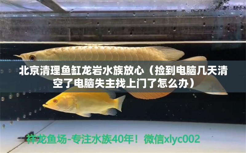 北京清理鱼缸龙岩水族放心（捡到电脑几天清空了电脑失主找上门了怎么办）