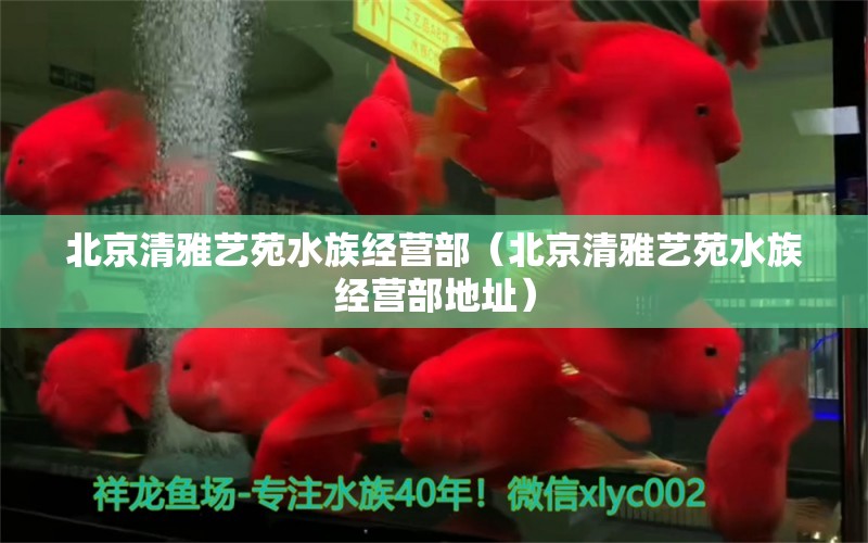 北京清雅艺苑水族经营部（北京清雅艺苑水族经营部地址） 全国水族馆企业名录