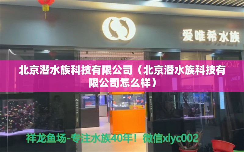 北京潜水族科技有限公司（北京潜水族科技有限公司怎么样） 全国水族馆企业名录