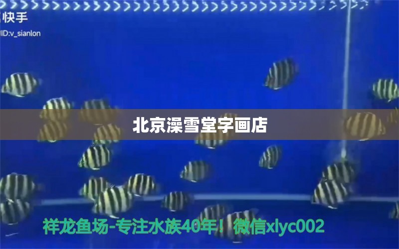 北京澡雪堂字画店 全国水族馆企业名录