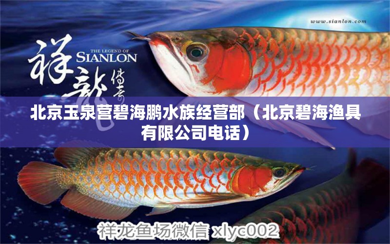 北京玉泉营碧海鹏水族经营部（北京碧海渔具有限公司电话）