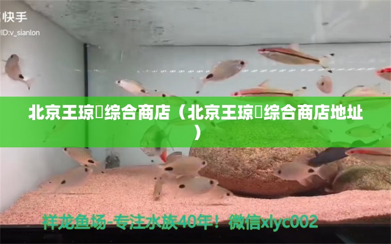 北京王琼玥综合商店（北京王琼玥综合商店地址） 全国水族馆企业名录 第1张