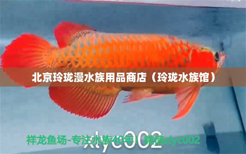 北京玲珑漫水族用品商店（玲珑水族馆）