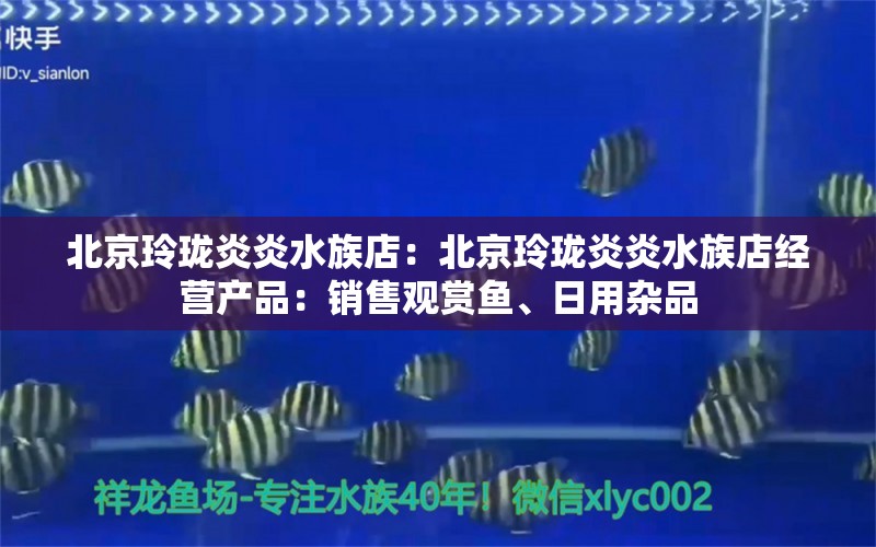 北京玲珑炎炎水族店：北京玲珑炎炎水族店经营产品：销售观赏鱼、日用杂品 全国观赏鱼市场 第2张