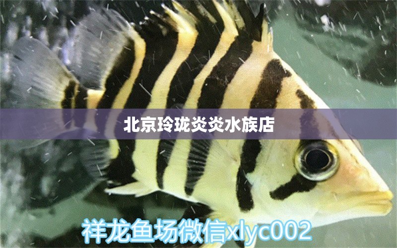 北京玲珑炎炎水族店