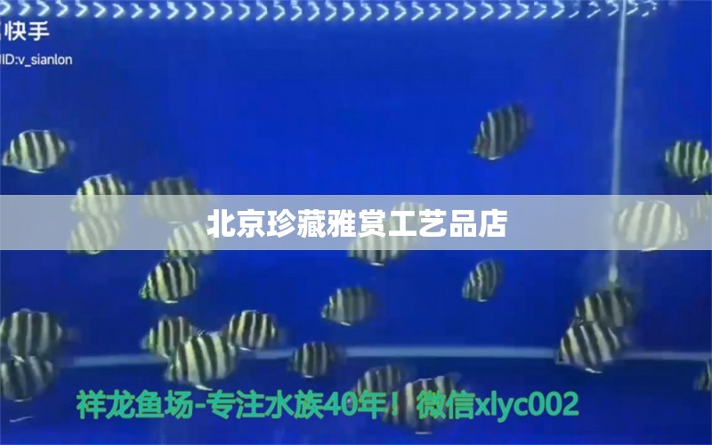 北京珍藏雅赏工艺品店 全国水族馆企业名录