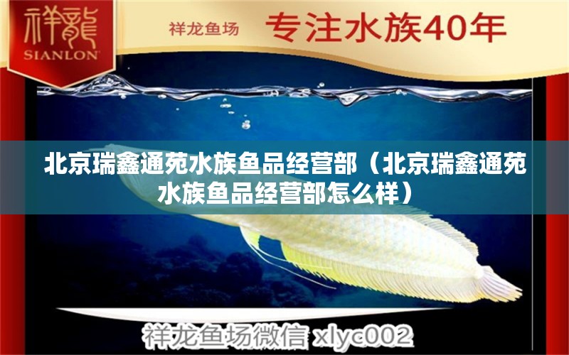 北京瑞鑫通苑水族鱼品经营部（北京瑞鑫通苑水族鱼品经营部怎么样）