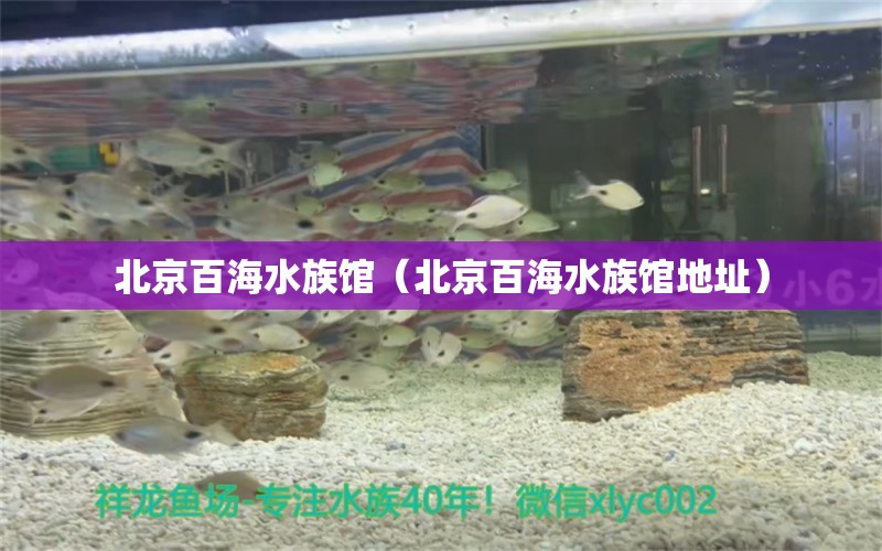 北京百海水族馆（北京百海水族馆地址） 全国水族馆企业名录