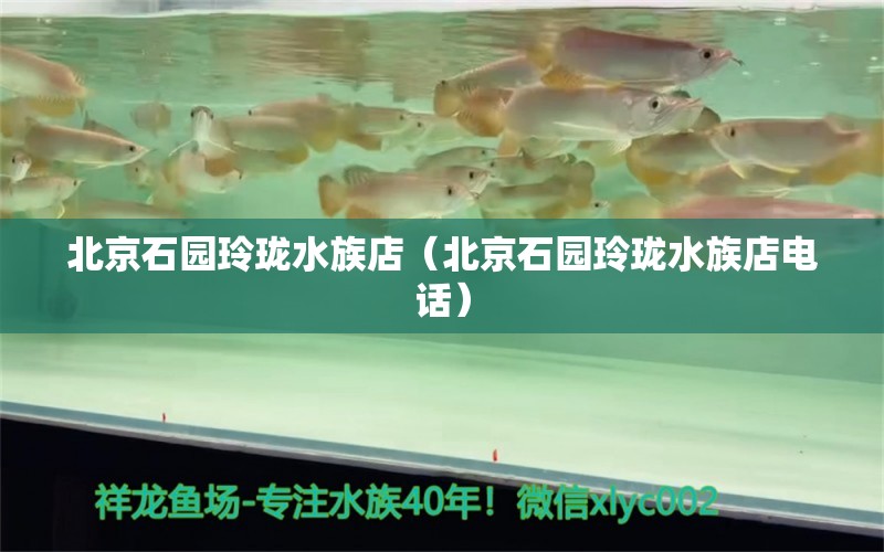 北京石园玲珑水族店（北京石园玲珑水族店电话） 全国水族馆企业名录