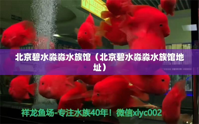 北京碧水淼淼水族馆（北京碧水淼淼水族馆地址）