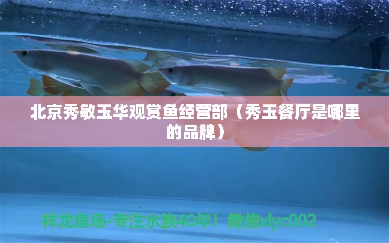 北京秀敏玉华观赏鱼经营部（秀玉餐厅是哪里的品牌） 全国水族馆企业名录