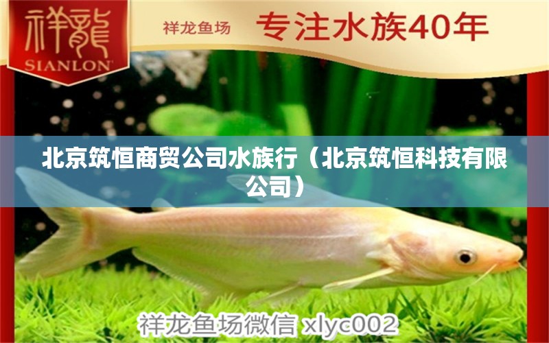 北京筑恒商贸公司水族行（北京筑恒科技有限公司） 全国水族馆企业名录