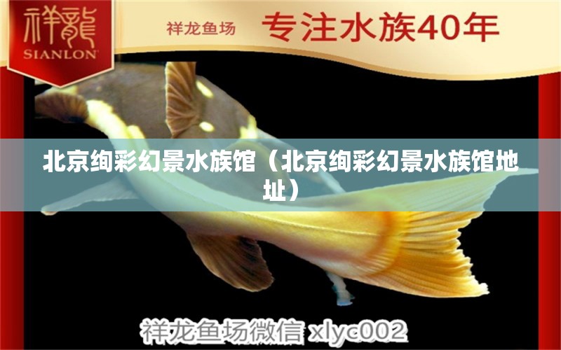 北京绚彩幻景水族馆（北京绚彩幻景水族馆地址）