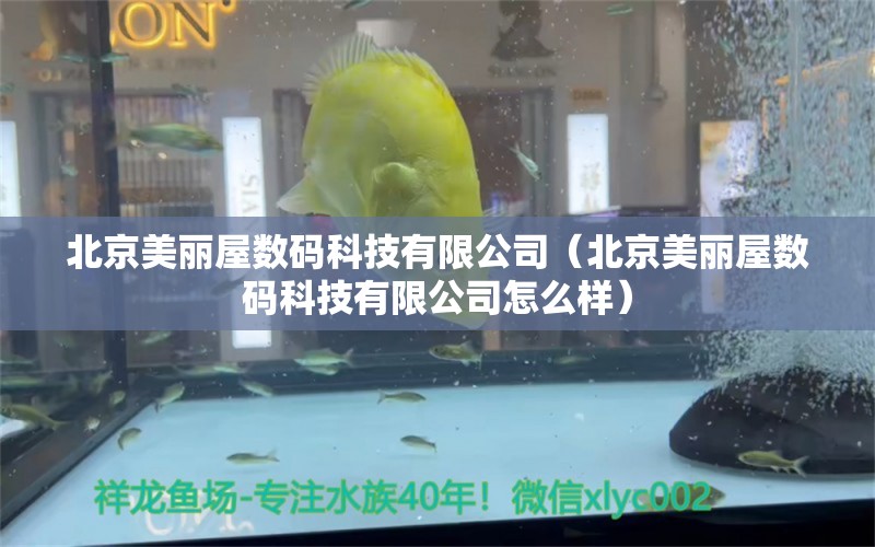 北京美丽屋数码科技有限公司（北京美丽屋数码科技有限公司怎么样）