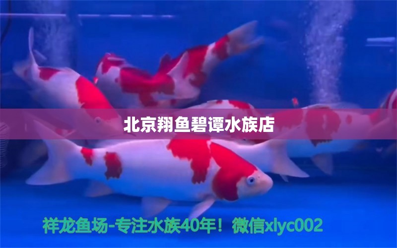 北京翔鱼碧谭水族店