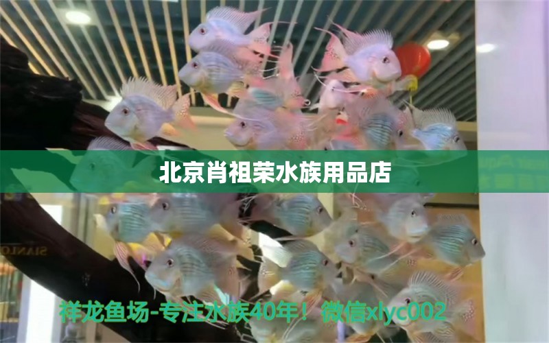 北京肖祖荣水族用品店