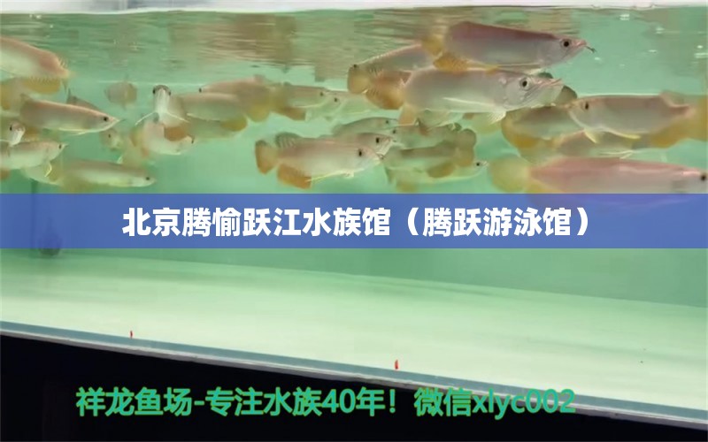 北京腾愉跃江水族馆（腾跃游泳馆）