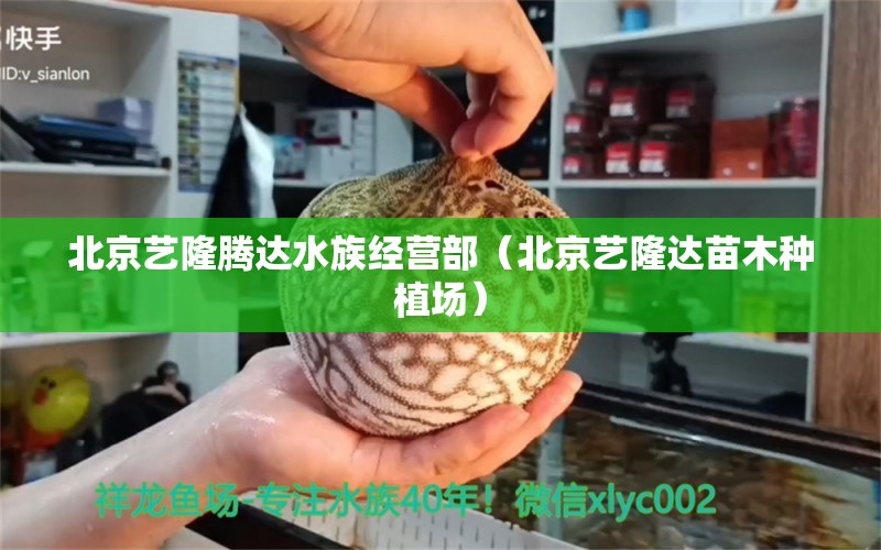 北京艺隆腾达水族经营部（北京艺隆达苗木种植场）