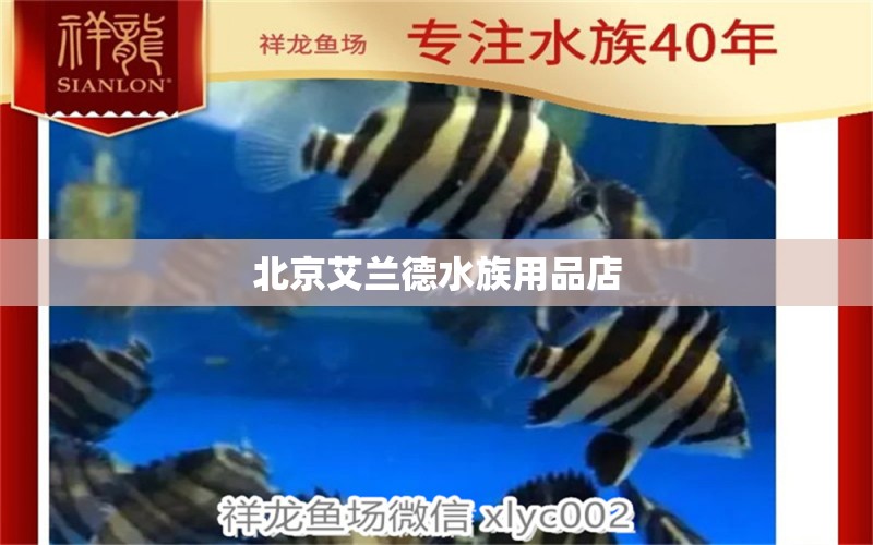 北京艾兰德水族用品店