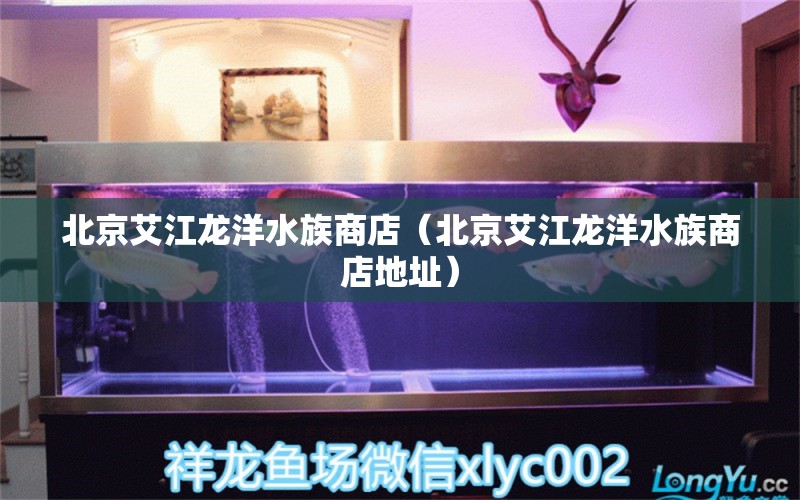 北京艾江龙洋水族商店（北京艾江龙洋水族商店地址）