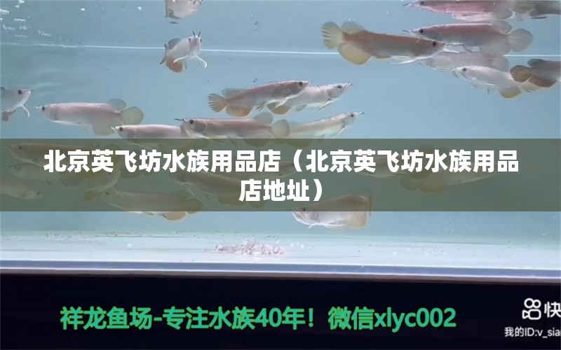 北京英飞坊水族用品店（北京英飞坊水族用品店地址）