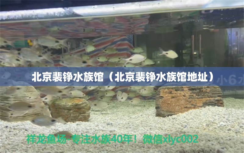 北京裴铮水族馆（北京裴铮水族馆地址） 全国水族馆企业名录