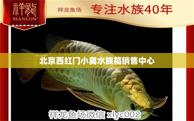 北京西红门小冀水族箱销售中心