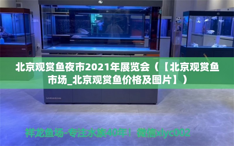 北京观赏鱼夜市2021年展览会（【北京观赏鱼市场_北京观赏鱼价格及图片】）