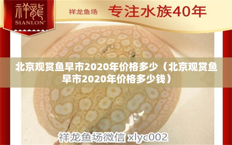 北京观赏鱼早市2020年价格多少（北京观赏鱼早市2020年价格多少钱） 观赏鱼企业目录