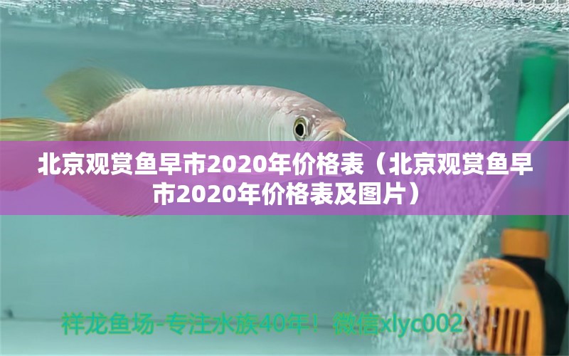 北京观赏鱼早市2020年价格表（北京观赏鱼早市2020年价格表及图片）